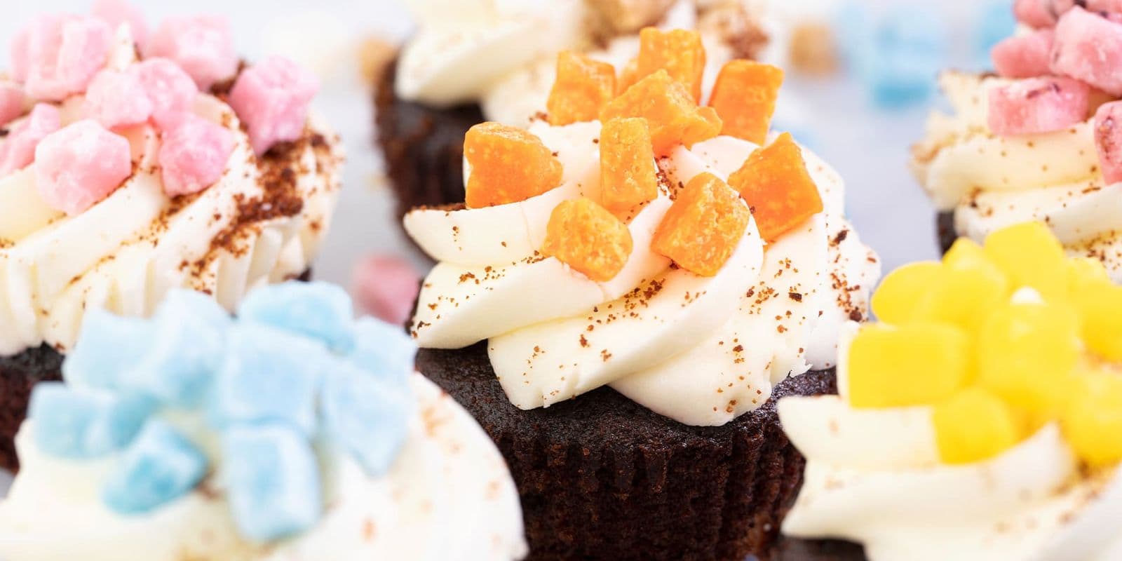 plant based cupcakes with inclusion toppings